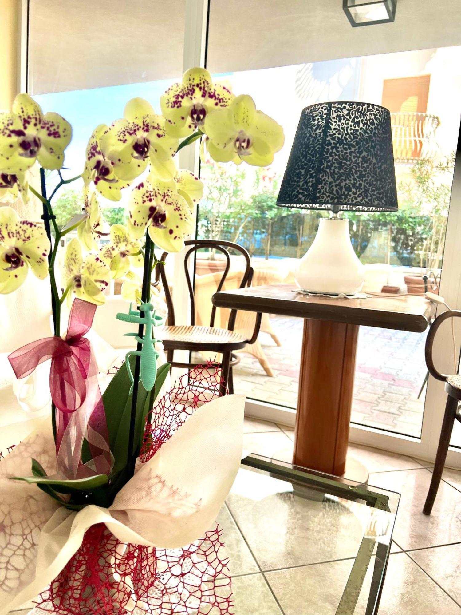Hotel B&B Montecarlo Milano Marittima Esterno foto